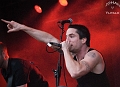 Raised Fist (12)